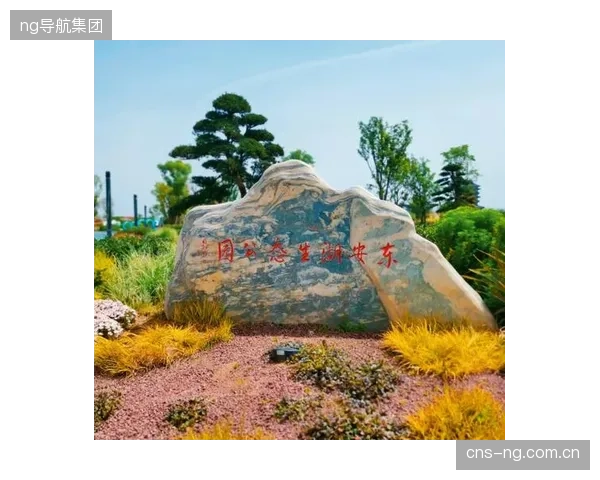 设计院与集成商的方案固化，导致体育公园在核心体验上未能形成差异化